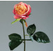 Umělá květina Růže Equador, žluto-fuchsiová