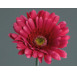 Umělá květina Gerbera 56 cm, fuchsiová