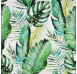Obraz na plátně Tropické listy, 40x40 cm