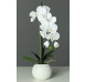 Umělá květina Orchidej v květináči, bílá