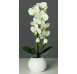 Umělá květina Orchidej v květináči, krémovo-zelená