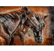 Kovový obraz na zeď Koně 80x60 cm, vintage