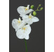 Umělá květina Naturel Orchidej, krémová