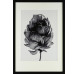 Rámovaný obraz Botanical II 35x50 cm, černobílý