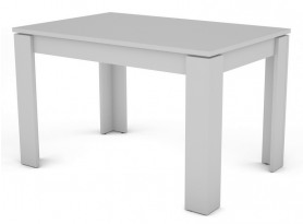 Jídelní stůl Inter 120x80 cm, bílý