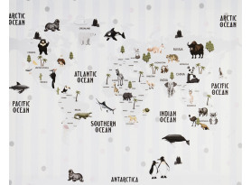 Obraz na plátně Mapa světa se zvířaty, 40x50 cm