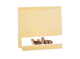 Dětský ručník 50x100 cm, motiv koťata, žlutý