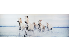 Obraz na plátně Stádo koní, 50x150 cm