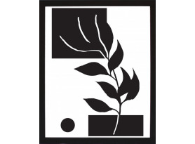 Rámovaný obraz Černobílá rostlinná abstrakce IV, 24x30 cm