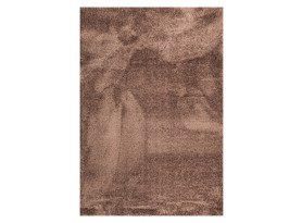 Koberec Tiara 160x230 cm, hnědý