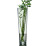 Skleněná váza 70 cm