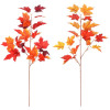 Podzimní větev (2 druhy) Javor, oranžová