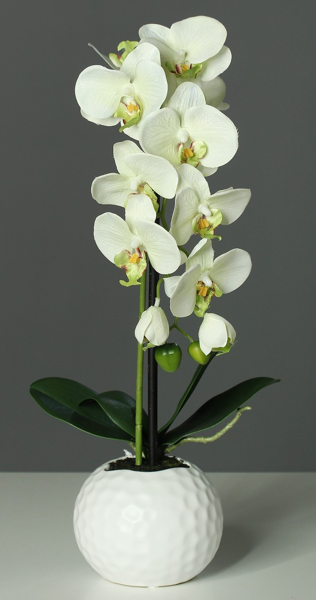 Umělá květina Orchidej v květináči, krémovo-zelená