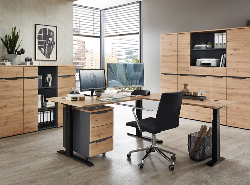 Pracovna a kancelář